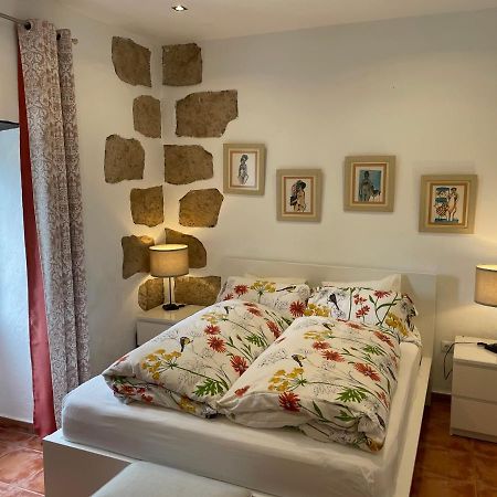 Casa Vista Bandama Vivienda Vacacional Tafira Dış mekan fotoğraf