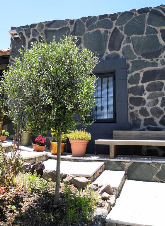 Casa Vista Bandama Vivienda Vacacional Tafira Dış mekan fotoğraf