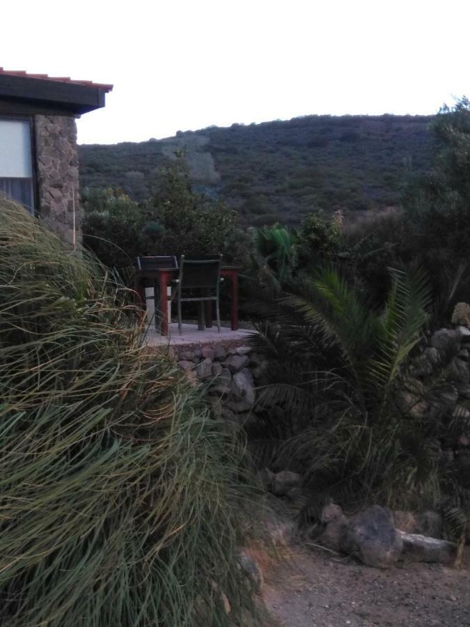 Casa Vista Bandama Vivienda Vacacional Tafira Dış mekan fotoğraf