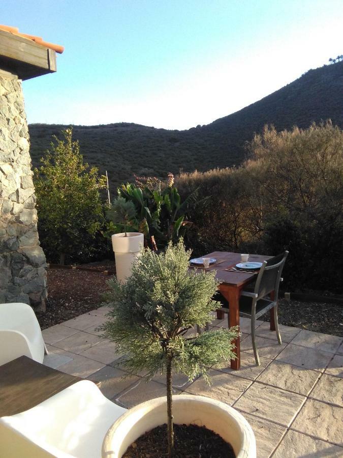 Casa Vista Bandama Vivienda Vacacional Tafira Dış mekan fotoğraf